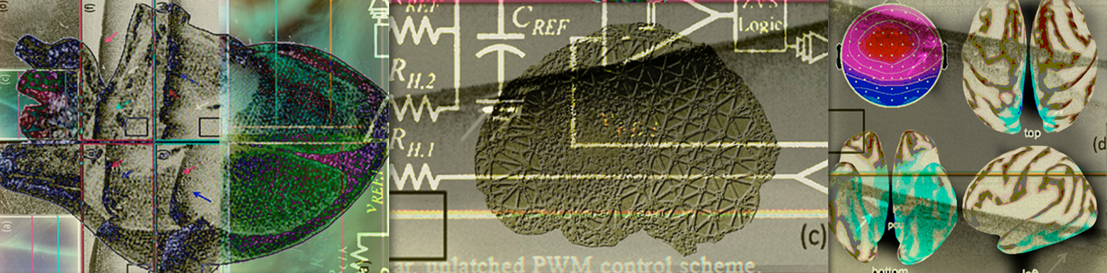 Systems Biology And Neuroengineering | Electrical Engineering